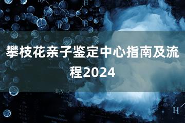 攀枝花亲子鉴定中心指南及流程2024